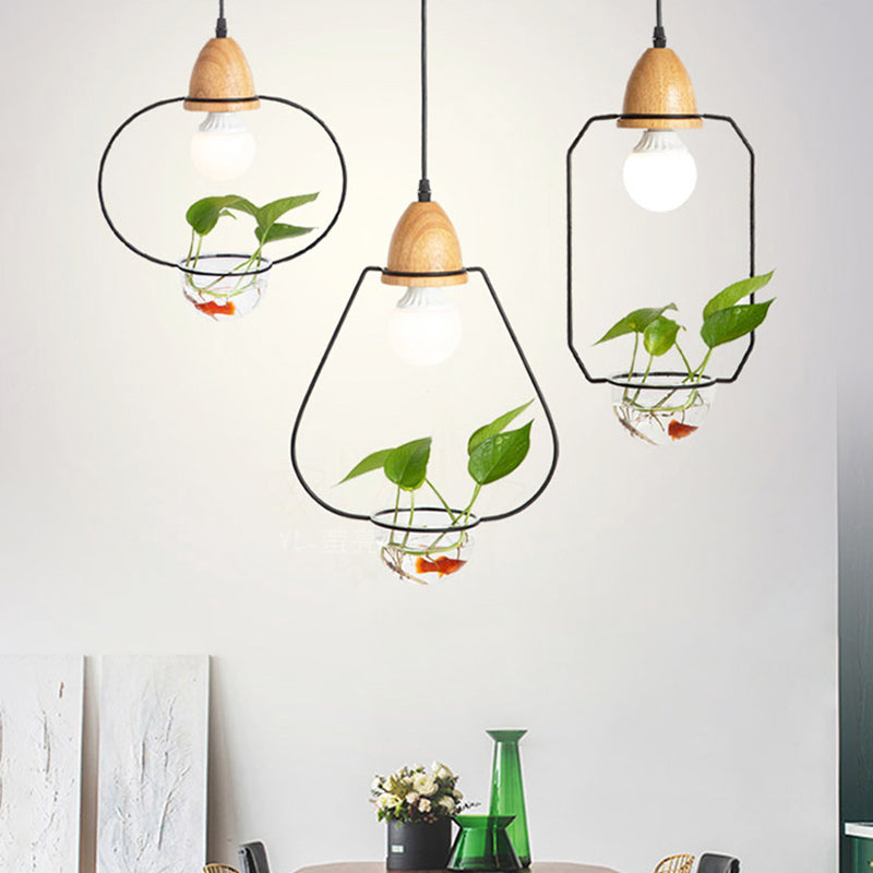 Nordic Style Hanging Light with Glass Plant Culture Dish Creative Pendant Lamp (Without Plants)