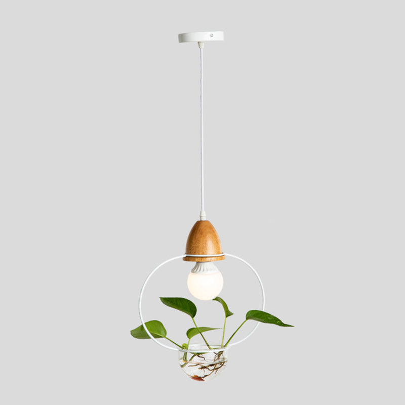 Nordic Style Hanging Light with Glass Plant Culture Dish Creative Pendant Lamp (Without Plants)