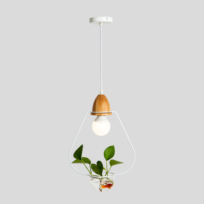 Nordic Style Hanging Light with Glass Plant Culture Dish Creative Pendant Lamp (Without Plants)