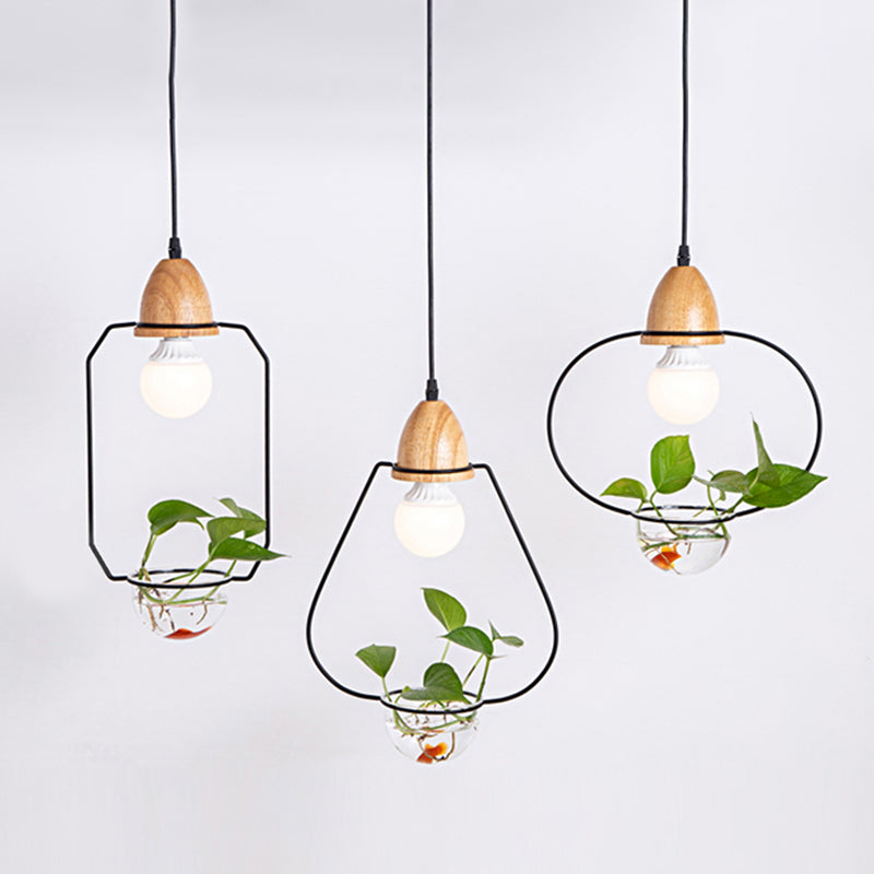 Noordse stijl hangend licht met glazen plantenkweekgerecht Creative hanglamp (zonder planten)