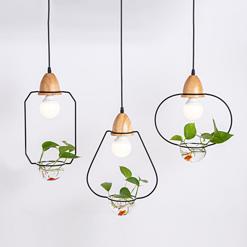 Nordic Style Hanging Light with Glass Plant Culture Dish Creative Pendant Lamp (Without Plants)