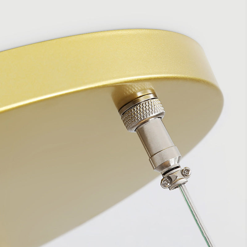 Gouden cirkelvormige led hanglamp in modern beknopte stijl smeedijzeren hangend licht met acrylschaduw