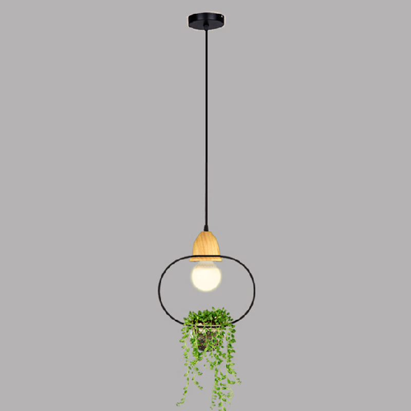 Noordse stijl hangend licht met glazen plantenkweekgerecht Creative hanglamp (zonder planten)