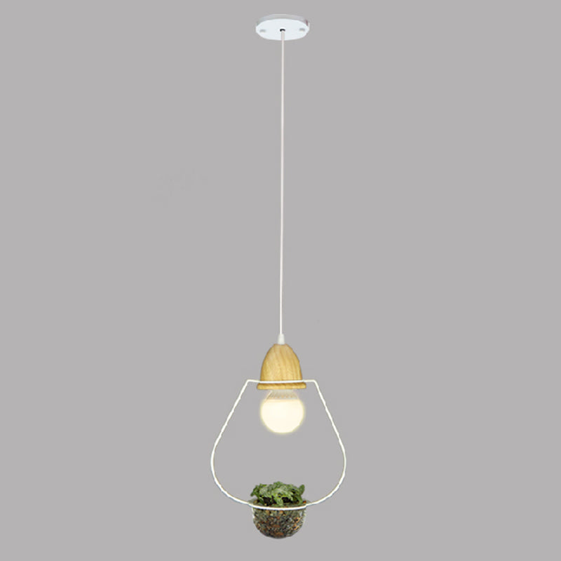 Noordse stijl hangend licht met glazen plantenkweekgerecht Creative hanglamp (zonder planten)