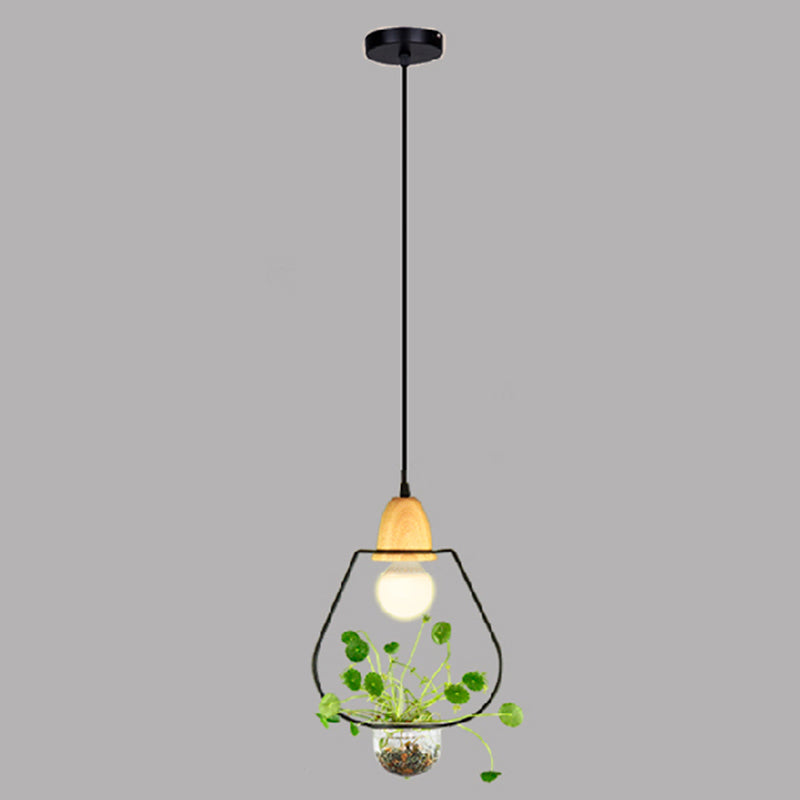 Nordic Style Hanging Light with Glass Plant Culture Dish Creative Pendant Lamp (Without Plants)