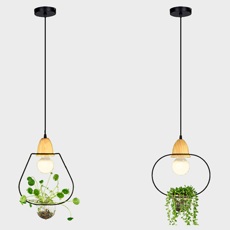 Nordic Style Hanging Light with Glass Plant Culture Dish Creative Pendant Lamp (Without Plants)