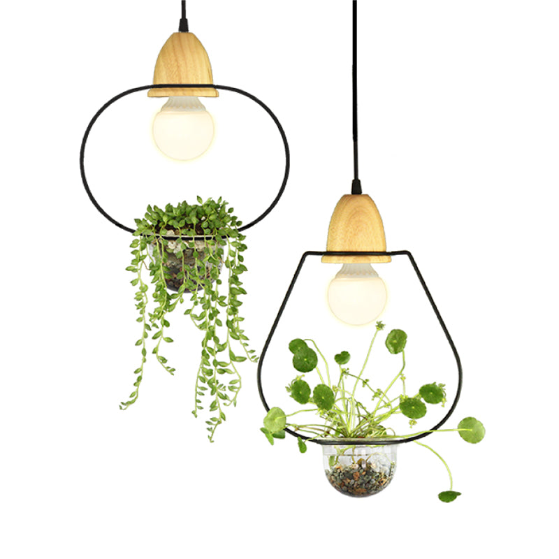 Nordic Style Hanging Light with Glass Plant Culture Dish Creative Pendant Lamp (Without Plants)