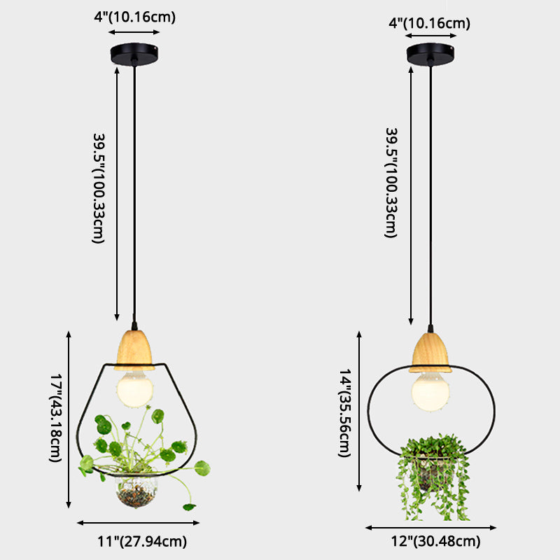 Noordse stijl hangend licht met glazen plantenkweekgerecht Creative hanglamp (zonder planten)