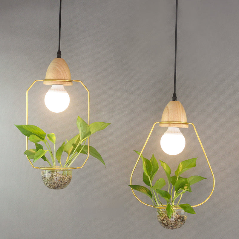 Nordic Style Hanging Light with Glass Plant Culture Dish Creative Pendant Lamp (Without Plants)