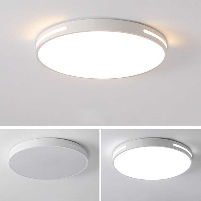 Lámpara de techo nórdica moderna y sencilla personalidad estudio de Sala de estar LED ultradelgado lámpara de ahorro de energía de caballo de hierro