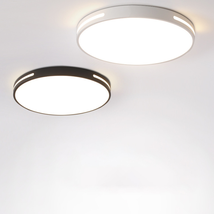 Lámpara de techo nórdica moderna y sencilla personalidad estudio de Sala de estar LED ultradelgado lámpara de ahorro de energía de caballo de hierro