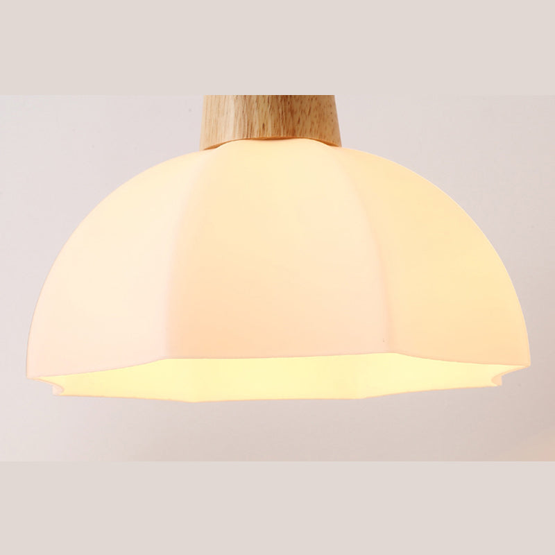 Noordse stijl cirkel hanglamp lamp armatuur houten eetkamer hanger plafondlicht