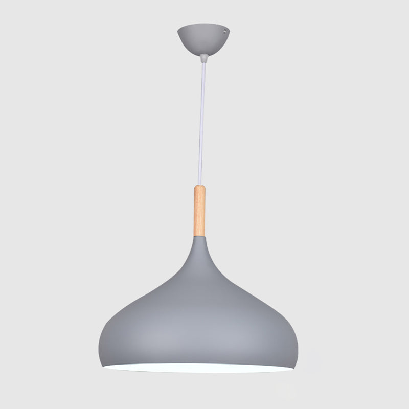 Kuppel Anhänger Beleuchtungsbestand