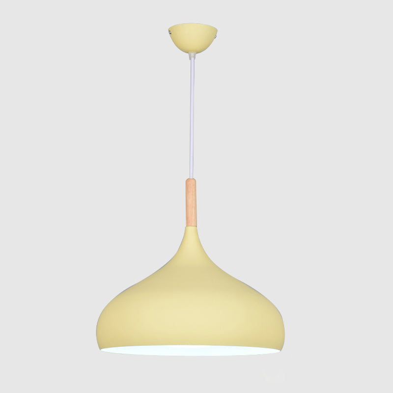 Kuppel Anhänger Beleuchtungsbestand