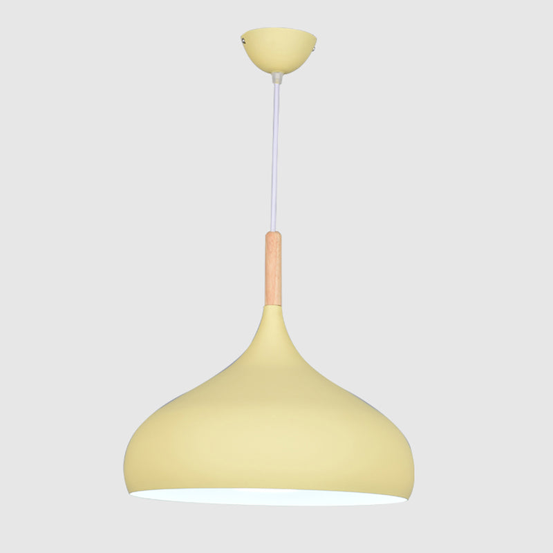 Kuppel Anhänger Beleuchtungsbestand