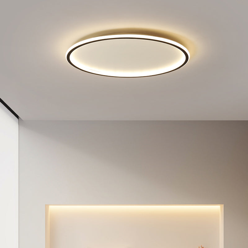 Modern Flush Mount Ceiling Light LED Lighting Circle Lighting Indoor Foyer Bedroom Shop Lighting