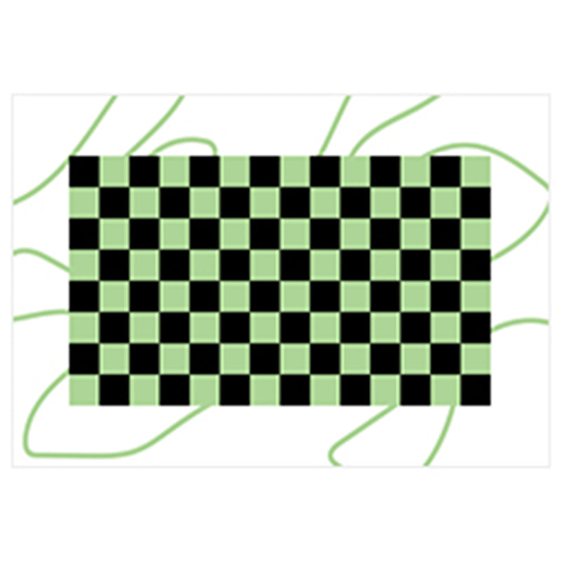 White Tone Simplicity Area Rug Polyester Buffalo Check Rug Non-Slip Backing Indoor Rug for Bedroom