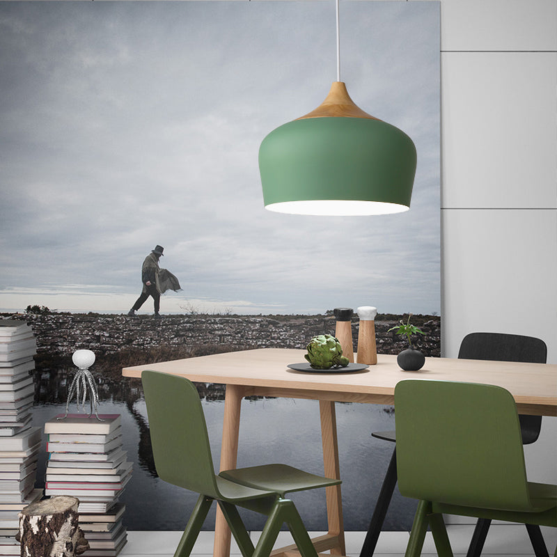 Pink/Green Domed Shaped Pendant Light Fixture Modern Style 12"/14" Wide 1 Light Metal Hanging Lamp Kit for Kitchen