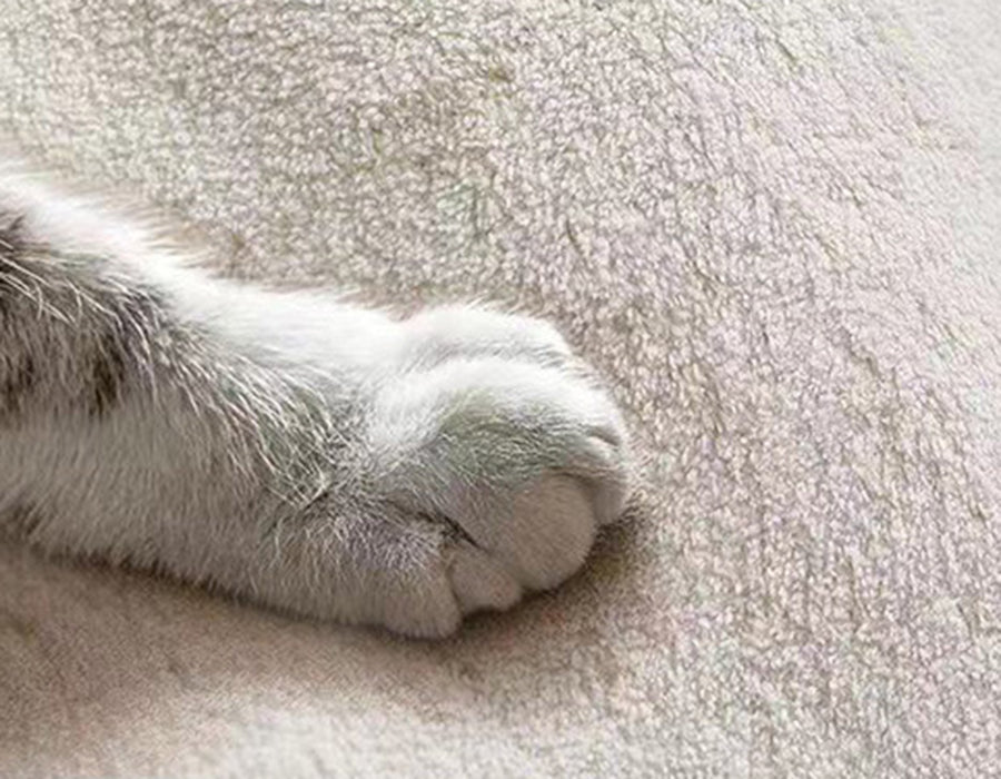 White Simple Rug Polyester Contemporary Carpet Non-Split Backing Area Rug for Indoor Room