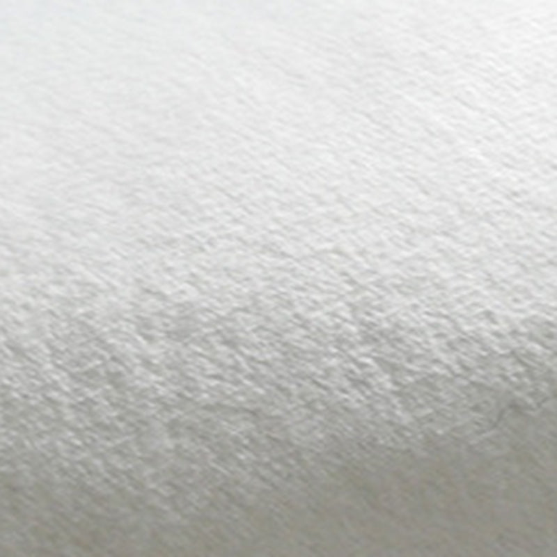 Modern Living Room Area Rug Apricot Polyester Rug Polyester Stain Resistant Area Carpet