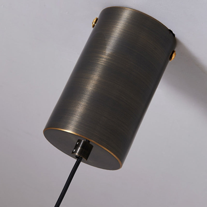 Simplicità moderna Sospensione ovale Sospensione Lampada acrilica Apparecchiatura per il ristorante