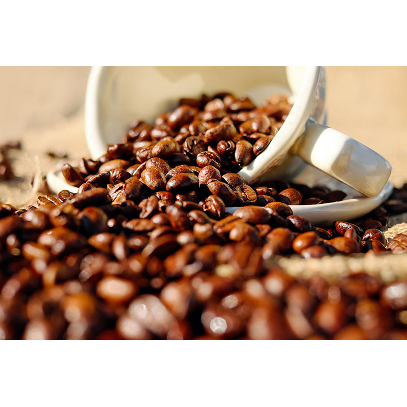 Mildew Resistant Decorative Wall Mural Modern Coffee Bean Business Wall Coverin