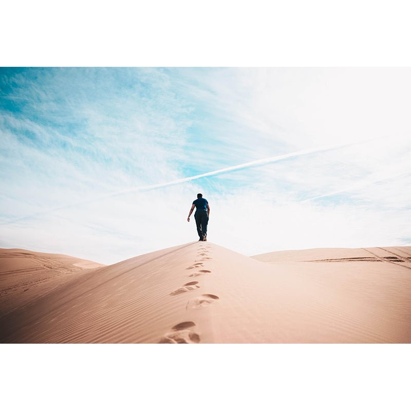 Big Desert Mural Wallpaper Moisture Resistant Modern Bedroom Wall Covering