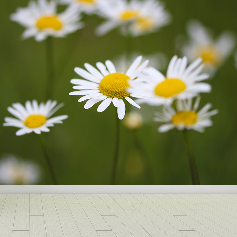 Contemporary Wall Mural for Bedroom Decor with Blossoming Flower Design