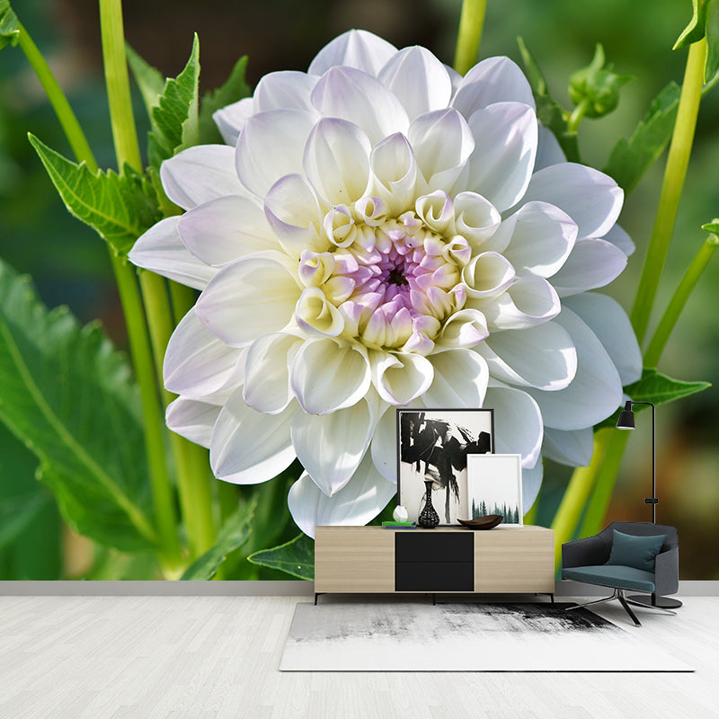 Modern Blossoming Flower Wall Mural Customized Size for Home Decoration