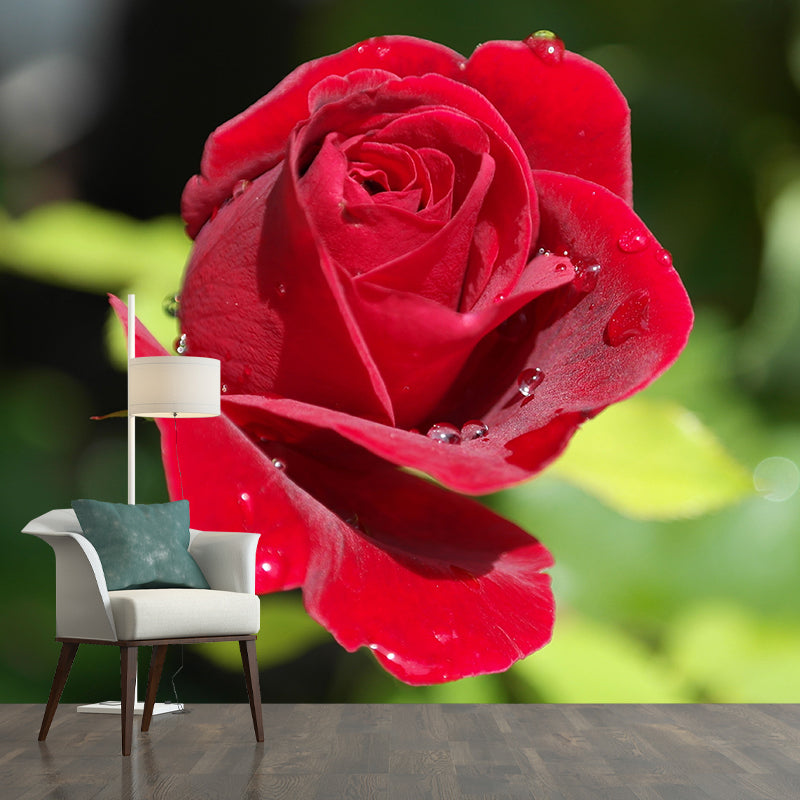 Modern Blossoming Flower Wall Mural Customized Size for Home Decoration