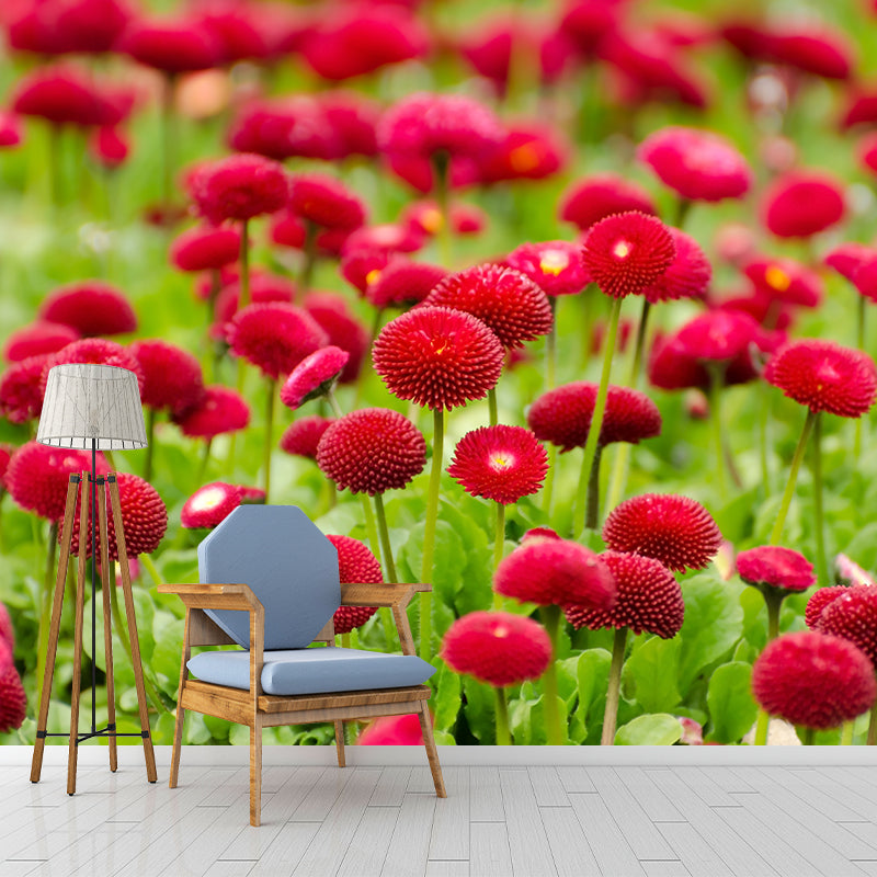 Photography Flower Mural Wallpaper Colorful Moisture Resistant Wallpaper