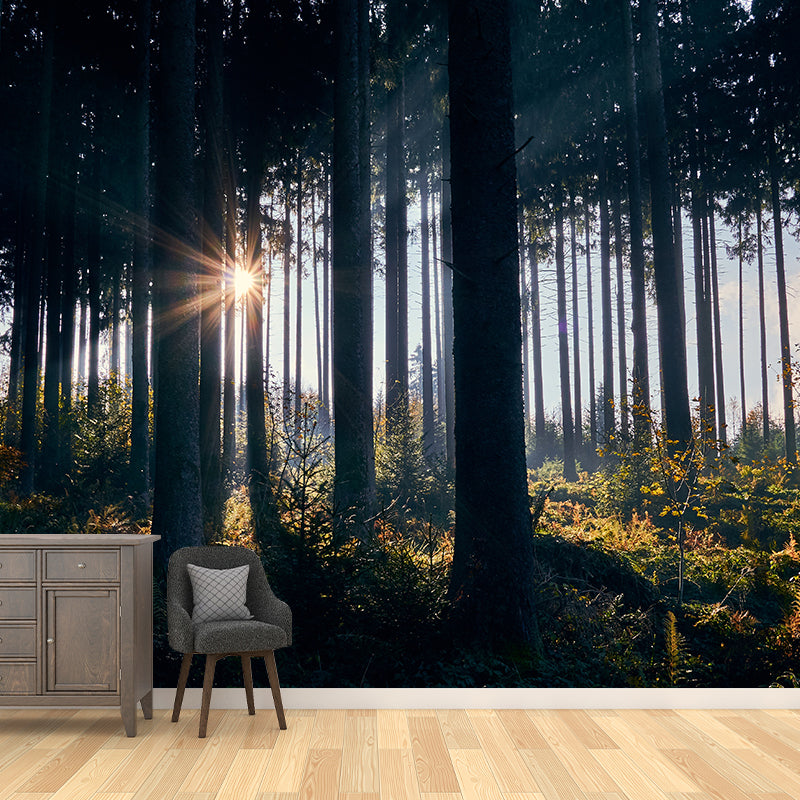 Deep Forest Wallpaper Murals Modern Waterproof Living Room Wall Covering