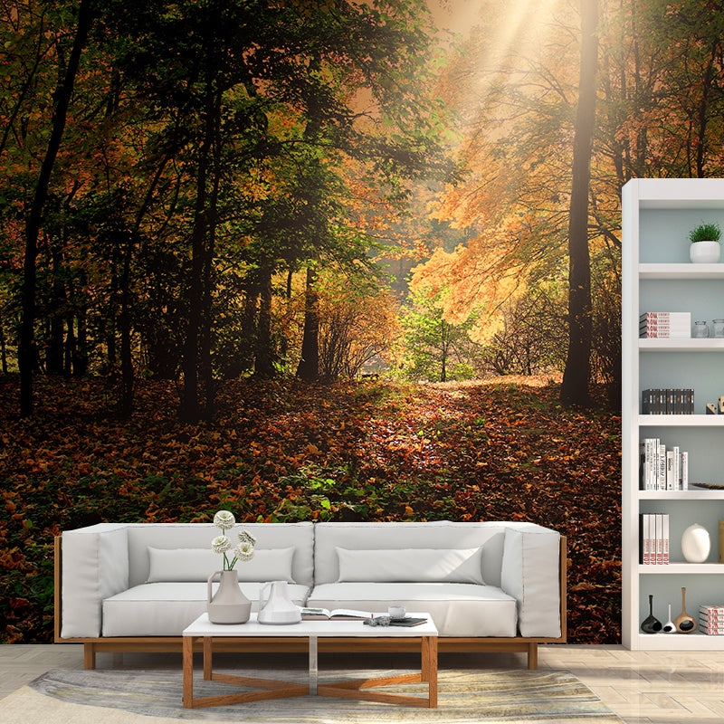 Forest Landscape Mural Wallpaper Home Decor Personalized Size Mural Wallpaper for Dining Room