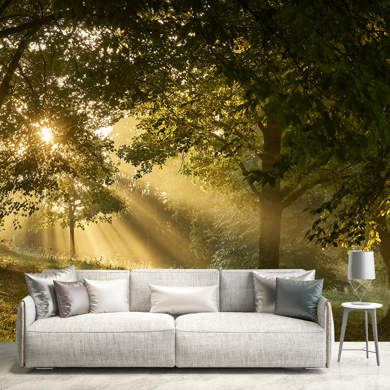 Forest Landscape Mural Wallpaper Home Decor Personalized Size Mural Wallpaper for Dining Room