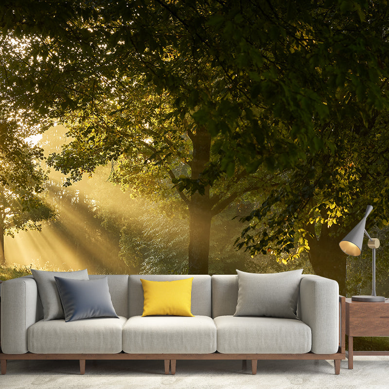 Forest Landscape Mural Wallpaper Home Decor Personalized Size Mural Wallpaper for Dining Room