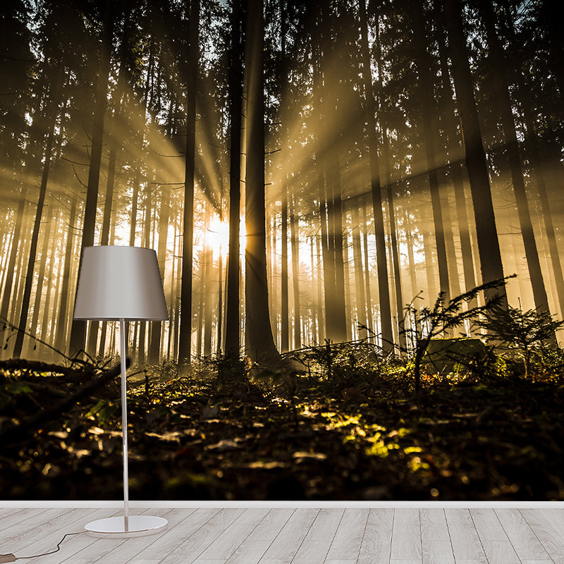 Forest Landscape Mural Wallpaper Home Decor Personalized Size Mural Wallpaper for Dining Room