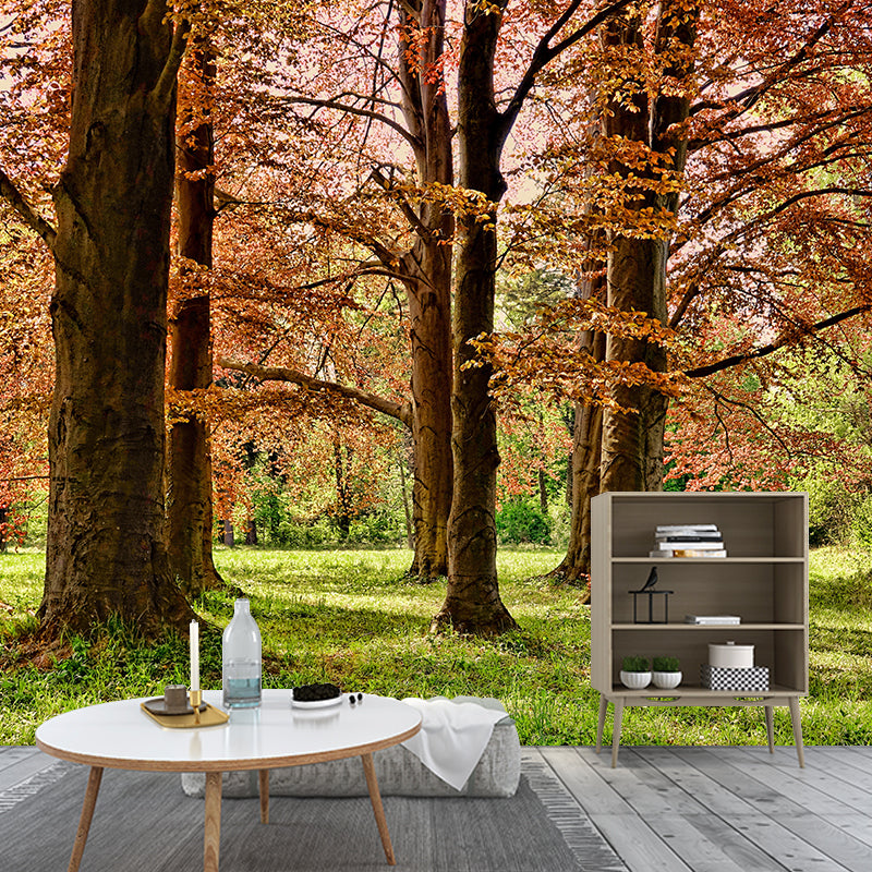 Forest Landscape Mural Wallpaper Home Decor Personalized Size Mural Wallpaper for Dining Room