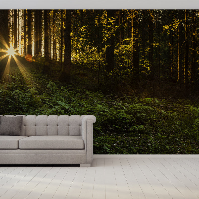 Deep Forest Design Mural Wall Decoration for Guest Room Water Resistant