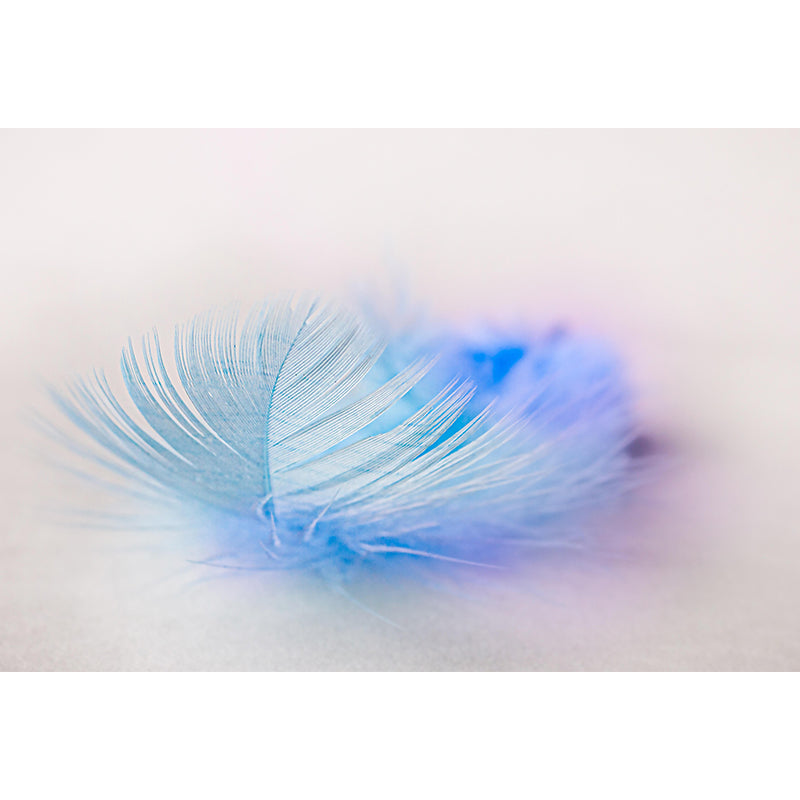 Living Room Wall Mural Feather Pattern Contemporary Style Wall Covering