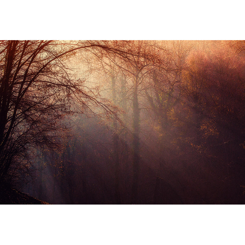 Misty Forest Scenery Wall Mural Modern Wall Decor in zachte kleuren voor Accent Wall