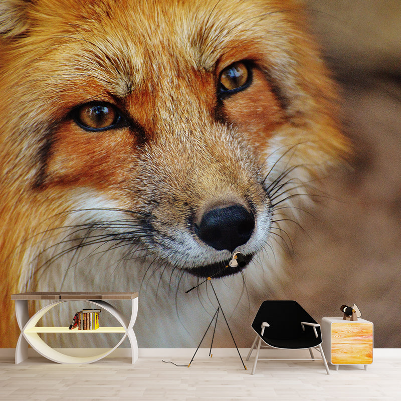 Photography Wall Mural Wild Animals Contemporary Wall Decor for Living Room