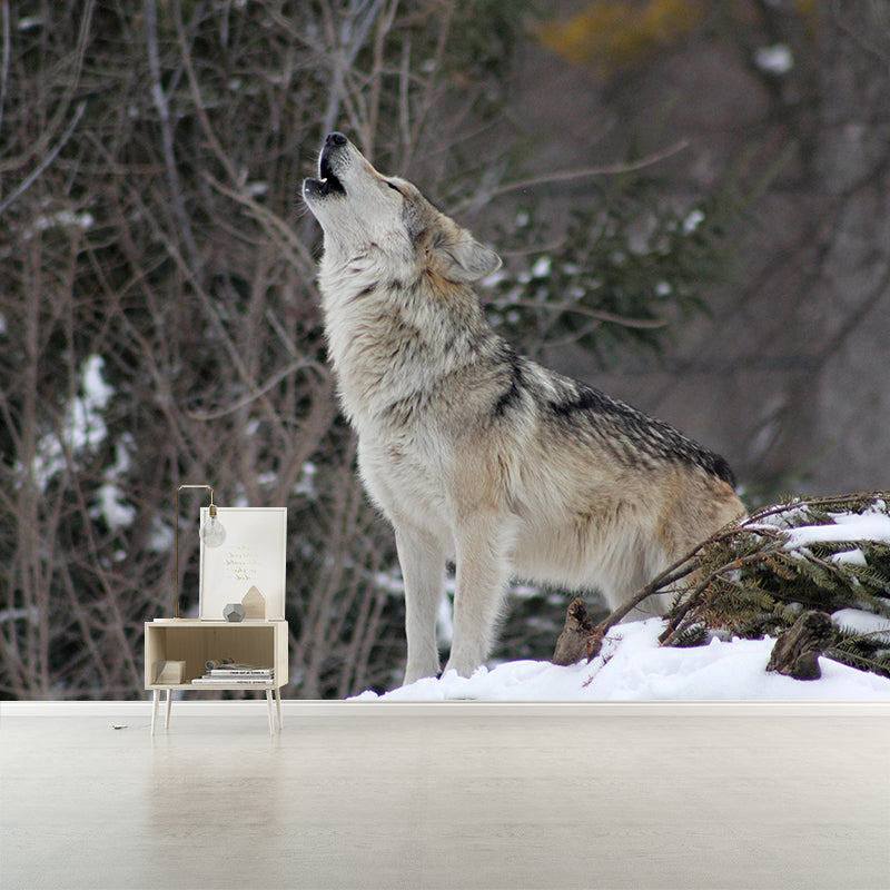 Photography Wall Mural Wild Animals Contemporary Wall Decor for Living Room