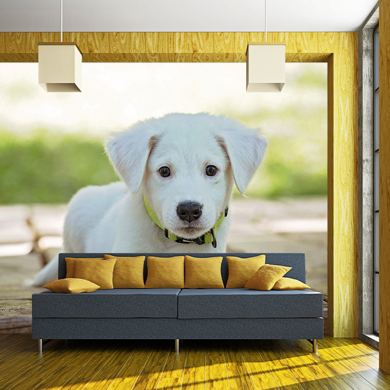 Personalized Photography Mural Animals Wallpaper Multiple Sizes Available for Living Room