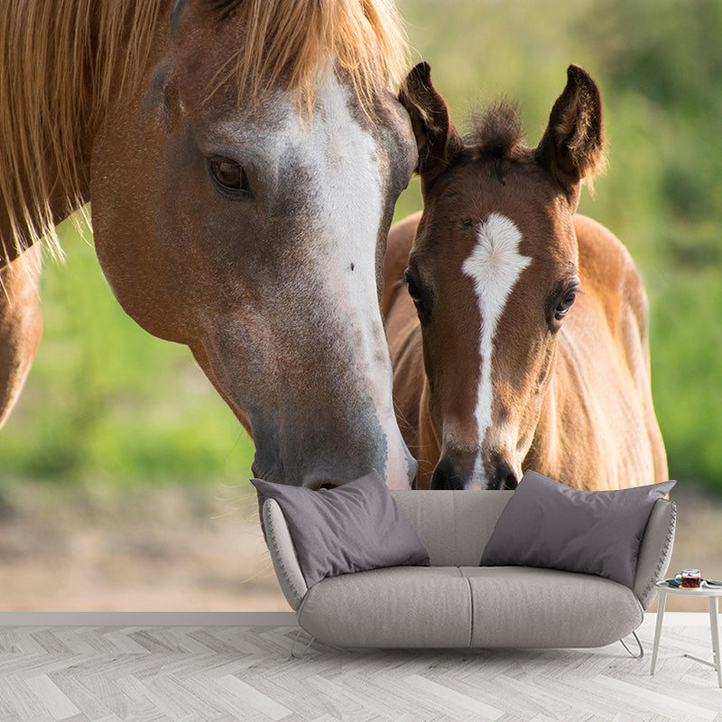 Contemporary Style Wild Animals Mural Photography Wallpaper for Living Room Decorative