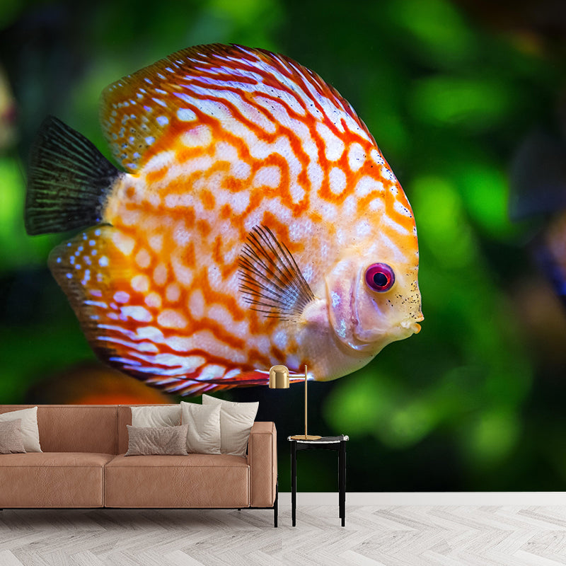 Mildew Resistant Modern Horizontal Mural Photography Wall Covering for Living Room