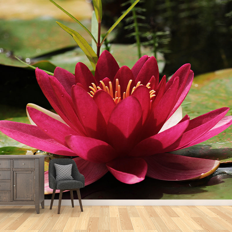 Modern Blossom Lotus Print Mural Wallpaper Pastel Color Wall Covering for Decoration