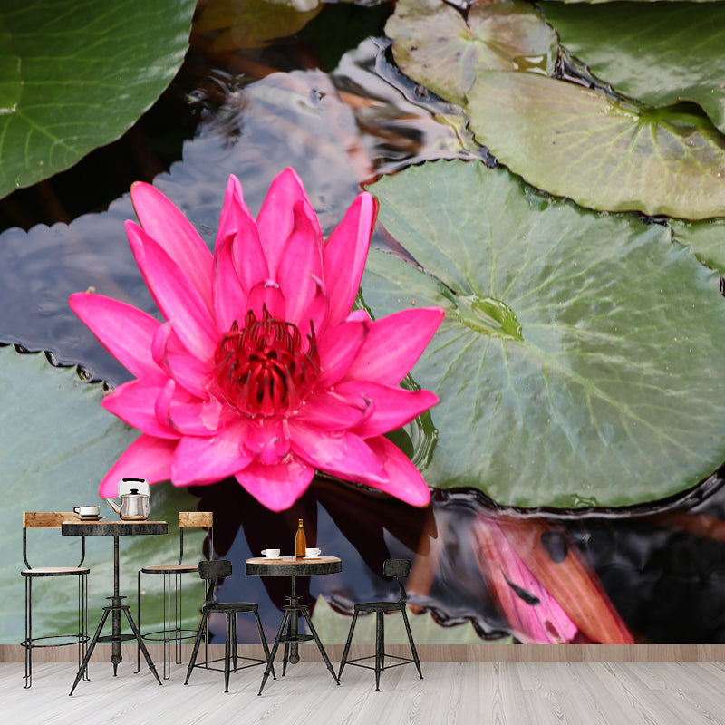 Modern Blossom Lotus Print Mural Wallpaper Pastel Color Wall Covering for Decoration