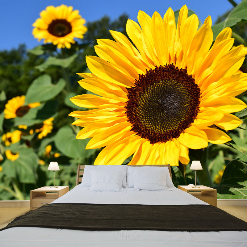 Sunflower Mural Contemporary Landscapes Scene Wall Decor for Decoration