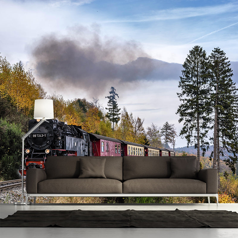 Photography Industrial Mural Decal with Train Landscape for Living Room