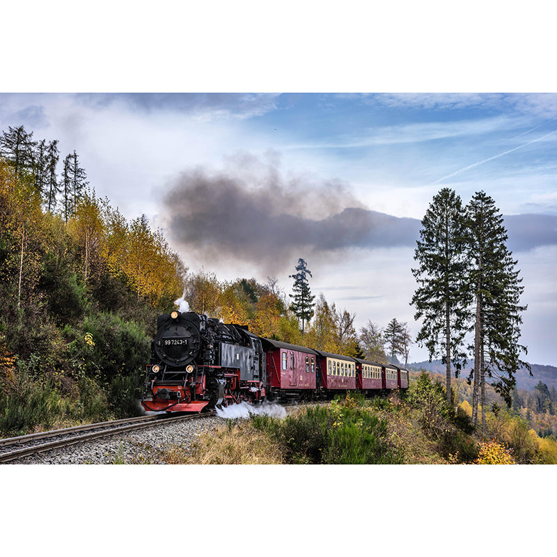 Photography Industrial Mural Decal with Train Landscape for Living Room